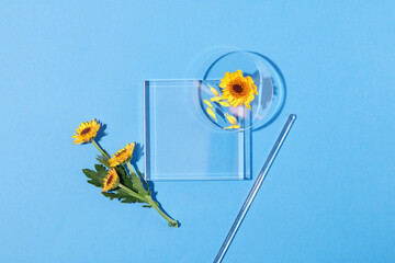 Canvas Print - A glass podium in square shaped displayed with a glass rod and some Calendula flowers. Mock-up for exhibitions or presentation of cosmetic products or packaging