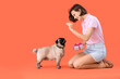 Young woman with cute pug dog and gift box on orange background