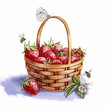 watercolor drawing basket of strawberries, butterfly and bumblebees, hand drawn illustration