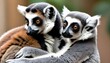 a lemur with its tail curled around another lemur upscaled 4