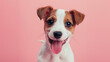 Jack Russell Terrier puppy isolated on a pastel background, with a playful mood, Generative AI