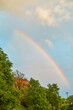 A rainbow in the pre-rain sky above the trees.