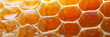 honeycomb, honey in the cell, generative AI