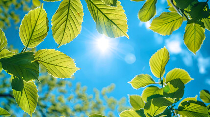 Bright sunlight beams through vibrant green leaves against a vivid blue sky, symbolizing fresh spring growth.
