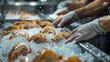 the processing of frozen shrimp, showcasing workers handling and packaging the product with precision while maintaining its natural appearance and freshness.