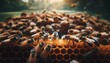 © FantasyLand86 - A cluster of bees gathered on a honeycomb, with one bee facing the lens, creating an intimate feel.