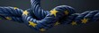 European Union vote rope concept background