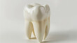 © Rimsha - Human tooth on white background