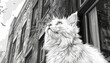 A black and white photo of a fluffy white cat looking up at the sky.