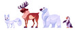 North pole animals. Cartoon vector illustration set of cute toon arctic wild life characters - white fox, brown reindeer with big antlers, polar bear and penguin. Alaska winter mammal and bird.