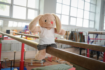 Wall Mural - The hare athlete is engaged in gymnastics equipment