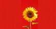 Vibrant sunflower against red background