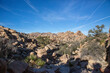 xpansive desert view with blue skies in Joshua Tree