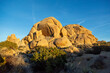 Golden hour over Joshua Tree's rock formations