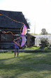 Boy with vibrant kite enjoys backyard on sunny day