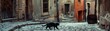 Black cat crossing a cobblestone street in an old European town, adding a sense of mystery and oldworld charm