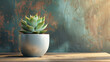 Pot with succulent on wooden table