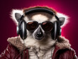 A lemur wearing sunglasses and headphones is posing for a photo