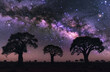 Milky Way Galaxy Above African Baobab Trees
