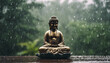 © abu - Buddha statue sitting in meditation with rain and forest in the background