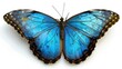Beautiful blue butterfly perched on a white surface, perfect for nature or spring themed designs