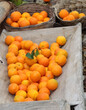 Holzschale und Körbe mit Orangen, Rhodos