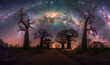 Milky Way Galaxy over Baobab Trees in Africa
