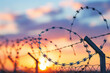 Barbed wire fence against the background of sunset sky. Conceptual photo on security, museum and border control theme. closeup