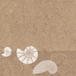Pre-made design on a marine theme with waves,  nautilus and place for text on kraft paper. Vector layout decorative greeting card or invitation design background.