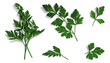 © Window to Europe - Set/collection of parsley leaves, twigs, individual leaves, bunch on isolated transparent background.With a subtle shadow. Cooking, food, diet. Mediterranean cuisine. Cut out. Top view/ flat lay. PNG.