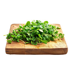 Canvas Print - Front view of a pile of cut watercress on a wooden chopping board isolated on a white transparent background