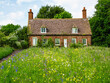 Old abandoned desolate image of a cottage in nature. Vintage picture of a village house with a road and a blossoming summer meadow. Background.