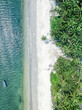 Sea, sandy beach and coconut grove. Vertical shot.