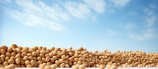 Aufkleber - A copy space image of nutritious soy against a clean white backdrop