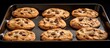A copy space image of brownie chocolate chip cookies baked on an iron baking sheet resting on a white background