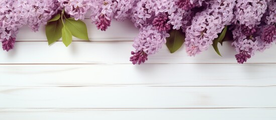Fototapete - A copy space image showcasing lilac flowers against a backdrop of white wooden