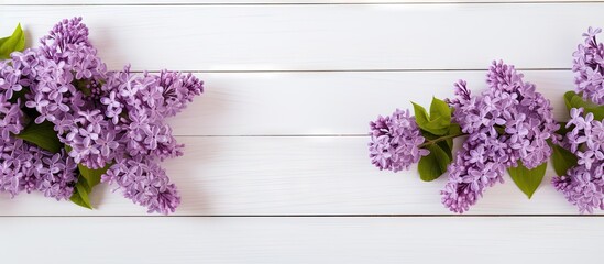 Fototapete - A copy space image showcasing lilac flowers against a backdrop of white wooden