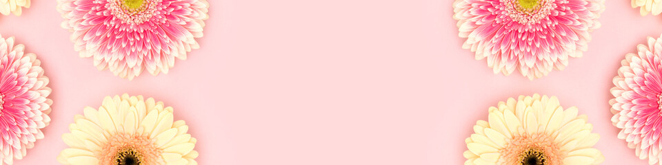 Wall Mural - frame made of gerbera flowers on a pink background. banner with copy space.