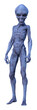 Illustration of a standing skeletal alien with blue skin and a large head looking forward with a menacing expression isolated on a white background.