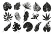 Collection of hand drawn vector tropical leaves. Exotic l eaves and branches in  flat style isolated on white. Natural elements with a line for the design of patterns, ornaments.