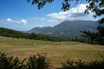 Wall Mural - Mountain landscape along the Cisa pass, Italy, near Berceto