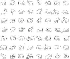 Wall Mural - Elephant vector outline collection. Minimalist Elephant line art, animal icons in various poses. Ideal for logo, pattern design, web design. elephant sketch on white background