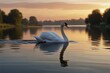 Swan gliding across a tranquil pond, its elegant neck curved gracefully