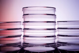Fototapeta  - Petri dishes for biological culture research