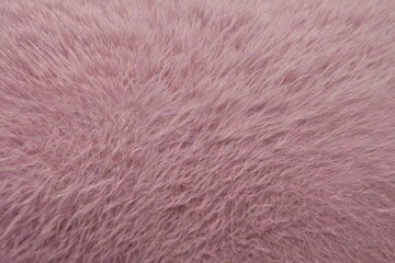 fur texture
