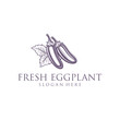 Eggplant, fruit and vegetable logo vector illustration