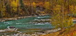 Russia. The South of Western Siberia, the Altai Mountains. Picturesque banks of the Chuya River near the village of Aktash, painted in yellow tones in late autumn.