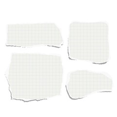 Wall Mural - Set of torn pieces of checkered paper isolated on a white background. Paper collage.