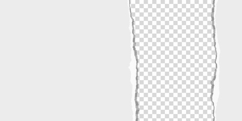 Wall Mural - Piece of an oblong sheet of paper torn from top to bottom. Transparent background. Vector illustration.