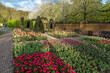 Jardin botanique aux tulipes de Keukenhof  , à Lisse  aux Pays-Bas